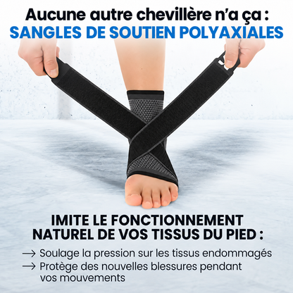 Sangles de soutien polyaxiales