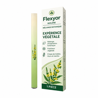Inhalateur Flexyor Molene et son etui