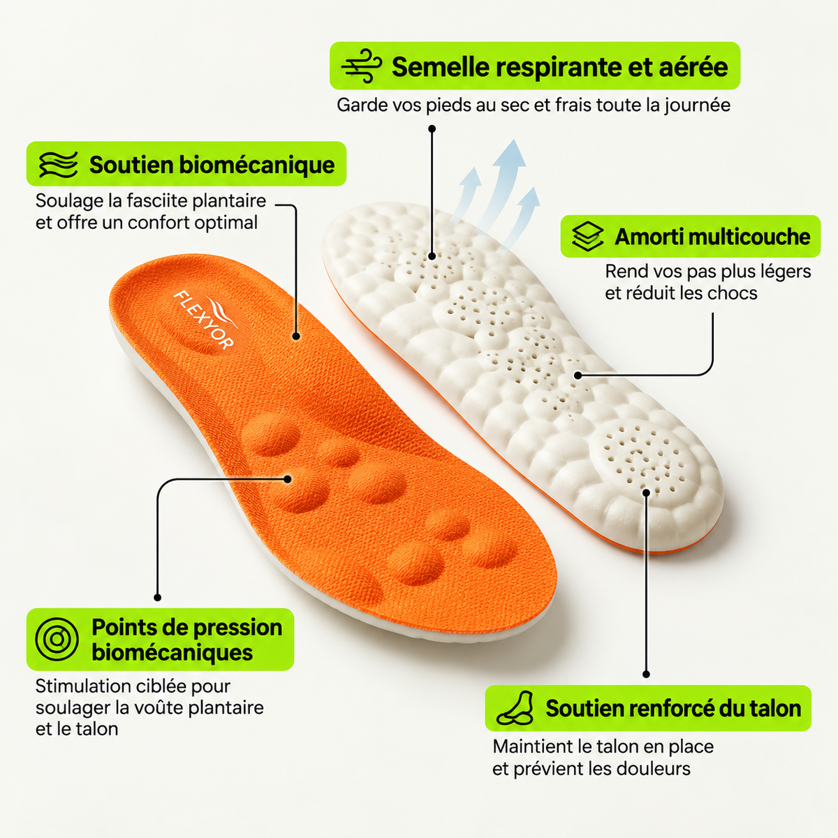 Détail des zones de la semelle FLEXYOR